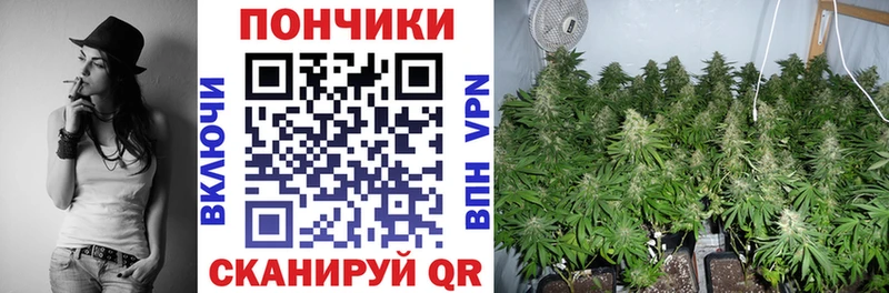 Купить закладку Невинномысск ГАШ  Бошки Шишки  Кокаин  Амфетамин  Меф 