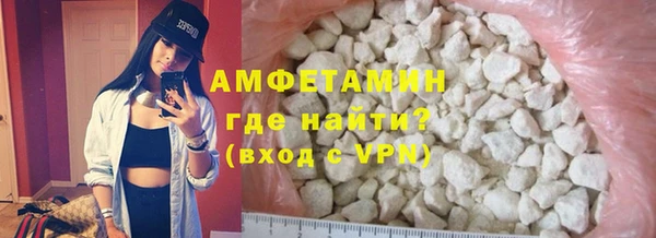 индика Нея