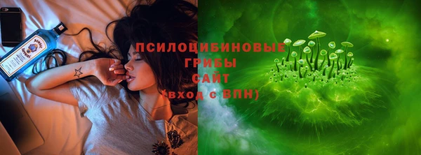индика Нея