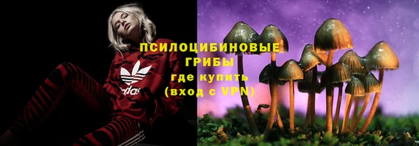 дмт Нефтекумск