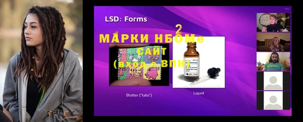 индика Нея