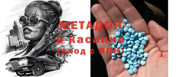 индика Нея