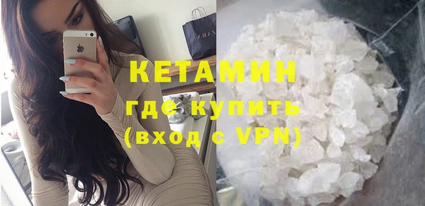 шишки Белая Холуница