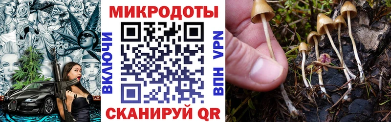 Галлюциногенные грибы Magic Shrooms  как найти закладки  Невинномысск 