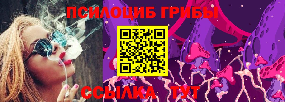 Галлюциногенные грибы прущие грибы  Псилоцибиновые грибы GOLDEN TEACHER  Вход с VPN  Невинномысск 