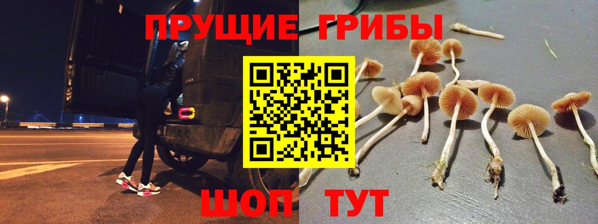 Псилоцибиновые грибы Psilocybe  Невинномысск  Псилоцибиновые грибы мухоморы 