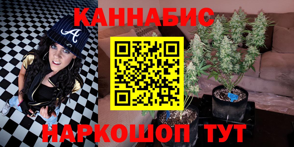 МАРИХУАНА сатива Невинномысск